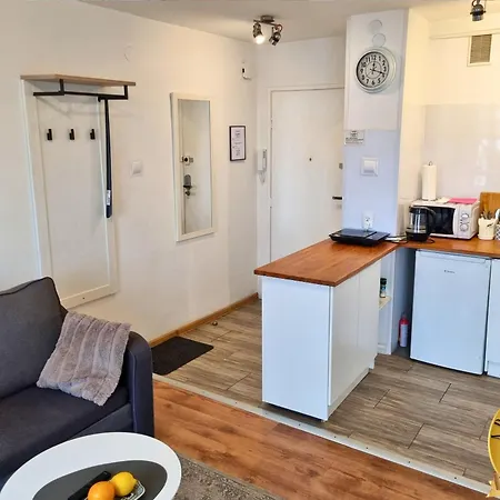 شقة Spoldzielcza Free Parking *