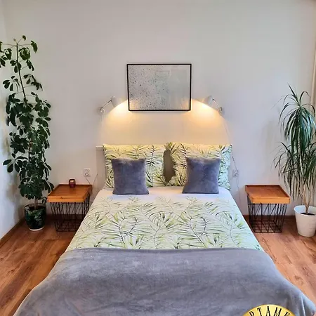 Spoldzielcza Free Parking *