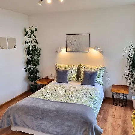 Appartement Spoldzielcza Free Parking