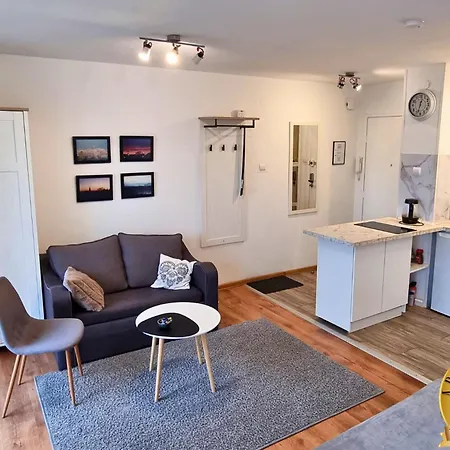 アパート Spoldzielcza Free Parking *